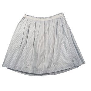 Gap Blue White Seersucker Striped Skirt Womens sz 4 Pleated lined Blue White Y2K